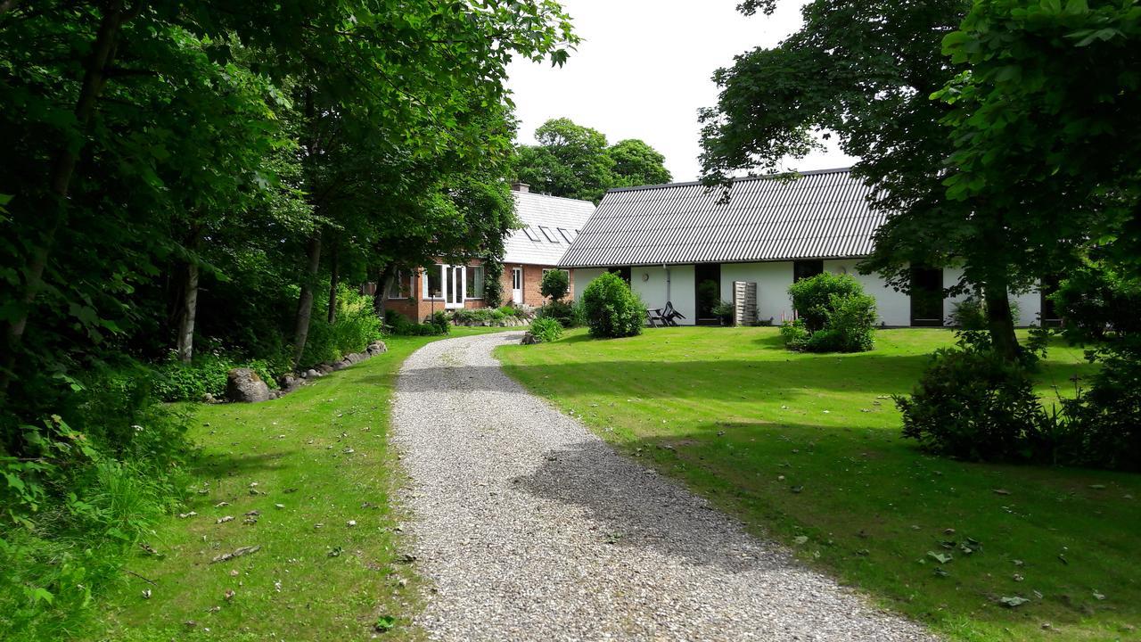 Lyngbjerggaard Ferieboliger - B&B Fjerritslev Dış mekan fotoğraf